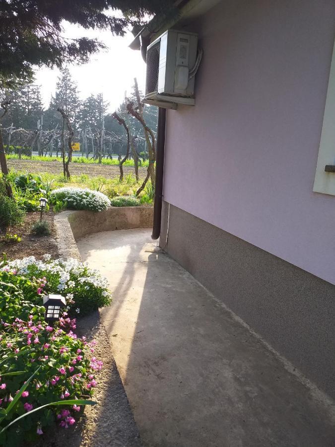 Ferienwohnung Istra Koper Exterior foto