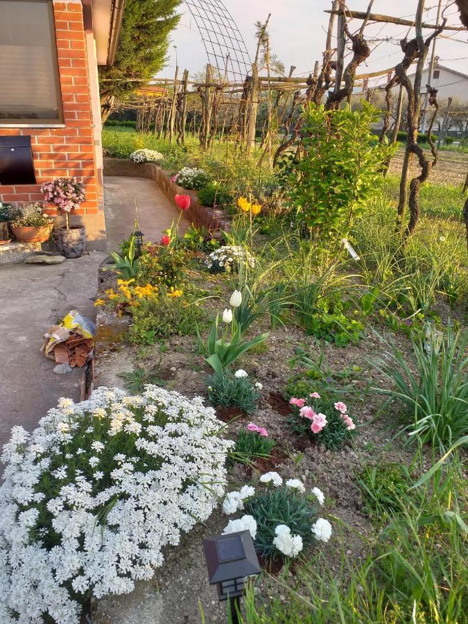 Ferienwohnung Istra Koper Exterior foto