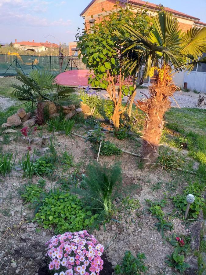 Ferienwohnung Istra Koper Exterior foto